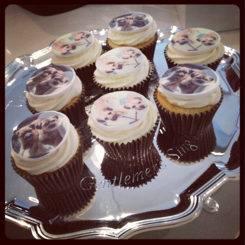 Andy Murray's dogs have found a novel use for his Wimbledon runner up silverware 