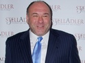 James Gandolfini, Eighth Annual Stella by Starlight Benefit Gala held at Espace, 10 June 2013