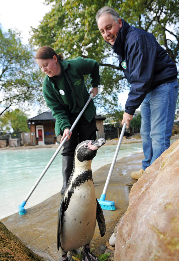 LinkedIn launches first global Bring In Your Parents Day at ZSL London Zoo, 7 November 2013