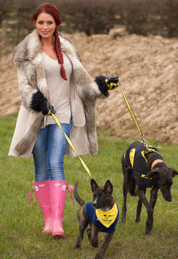 Dogs Trust Rehoming Centre - Photos All Recommendation