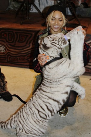 Beyoncé cuddles a snake, kisses a monkey and feeds a tiger - photos ...