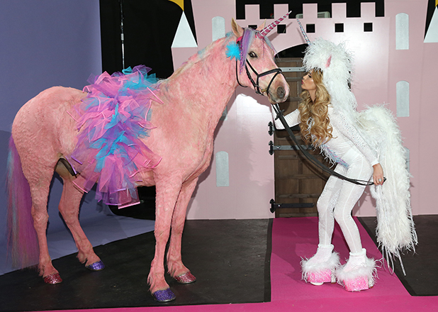 Katie Price becomes a unicorn and dyes her horse pink for Pony Club ...